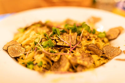 Close-up of food served in plate