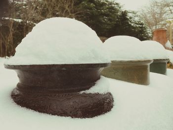 Close-up of snow on tree