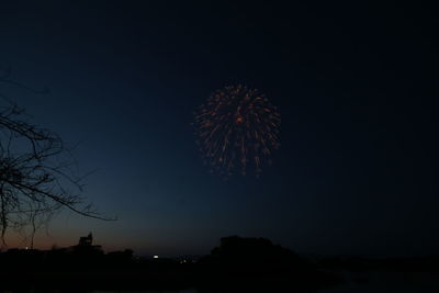 Low angle view of fireworks against sky at night