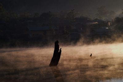 Damaged tree stump in river against village during foggy weather