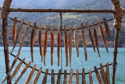 Close-up of wooden post hanging on frozen water
