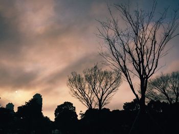 Silhouette of bare tree against cloudy sky