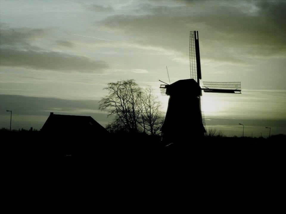 silhouette, sky, sunset, fuel and power generation, technology, built structure, cloud - sky, building exterior, wind power, architecture, windmill, field, renewable energy, wind turbine, alternative energy, landscape, environmental conservation, traditional windmill, cloud, tree