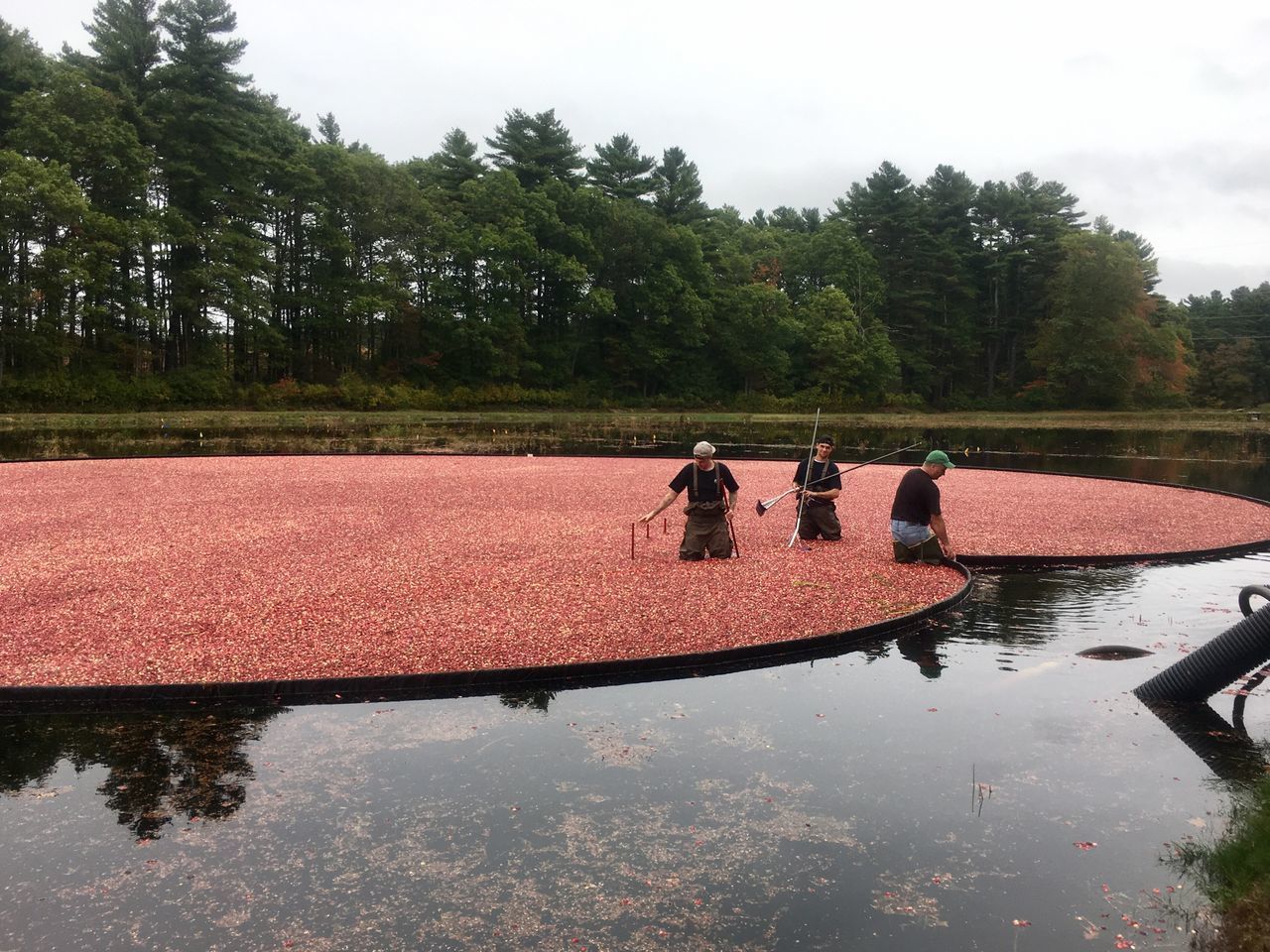 PEOPLE IN WATER