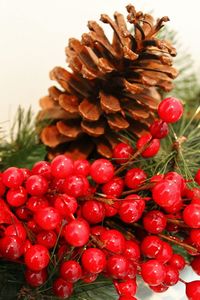 Close-up of cherries on tree