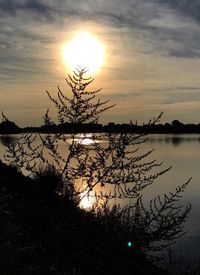 Silhouette tree by lake against sky during sunset