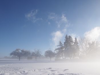 Trees on snow covered field against sky