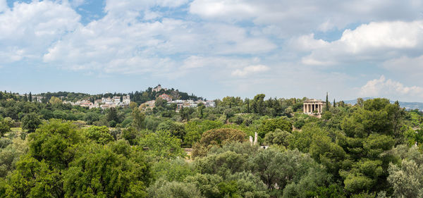 Trees and townscape against sky