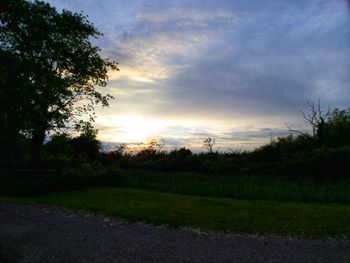 Trees on field against sky at sunset