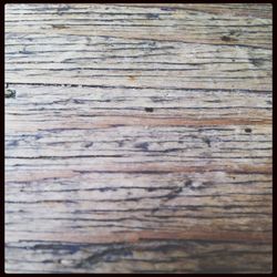 Close-up of wooden plank