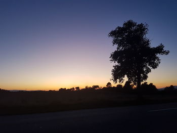 Silhouette tree against clear sky during sunset