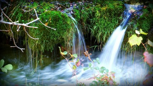 Scenic view of waterfall