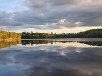 reflection