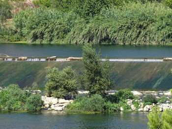 Reflection of trees in lake