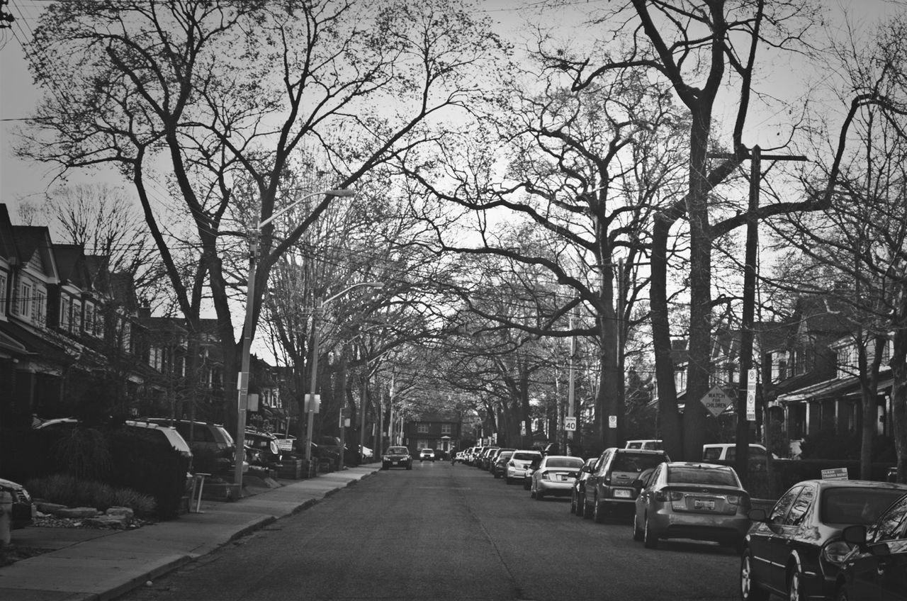 transportation, car, the way forward, building exterior, land vehicle, street, tree, architecture, built structure, road, diminishing perspective, mode of transport, city, bare tree, vanishing point, treelined, parking, in a row, sky, empty