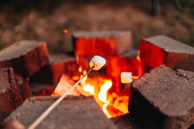 Close-up of burning  wood and marshmallows 