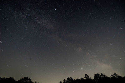 Low angle view of silhouette trees against star field at night