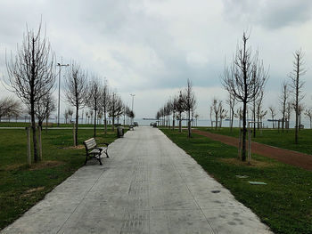 Empty bench in park against sky