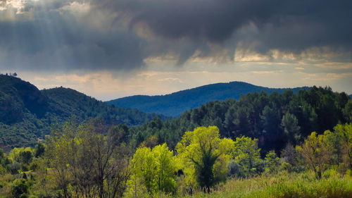 Scenic view of trees and mountains against sky