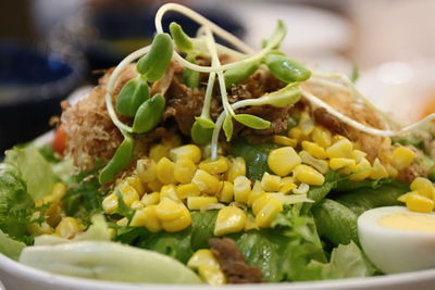 Close-up of salad in bowl