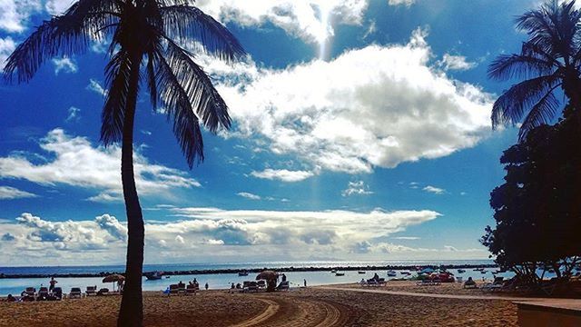 sea, beach, palm tree, sky, horizon over water, water, shore, sand, tree, vacations, scenics, beach umbrella, tranquility, tranquil scene, cloud - sky, beauty in nature, cloud, blue, incidental people, nature