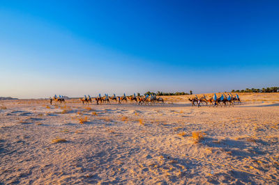 Group of people on the ground