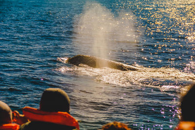 High section of people whale watching