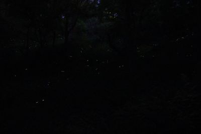 View of stars in the dark
