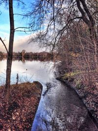 Reflection of trees in lake