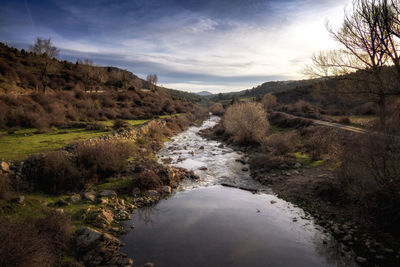 Scenic view of river stream amidst trees against sky