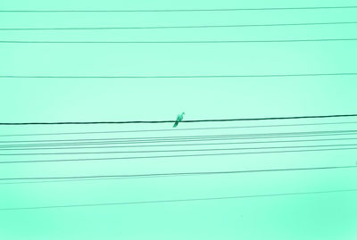 Low angle view of birds flying against blue sky