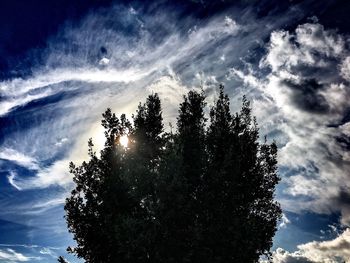 Low angle view of trees against sky