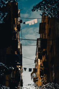 Buildings in city