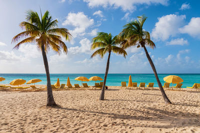 Palm trees on beach against sky