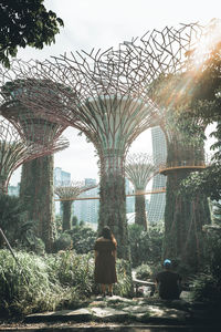 Rear view of woman sitting by plants against trees