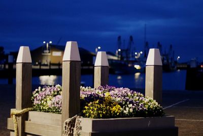 Flowering plants by building against sea