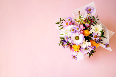 Close-up of pink flowering plant against white background