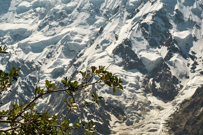 Scenic view of snowcapped mountains