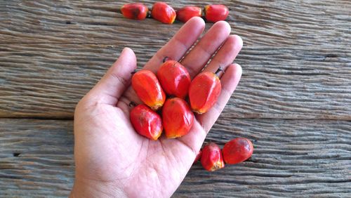 High angle view of hand holding strawberries