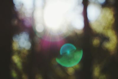 Close-up of spider web