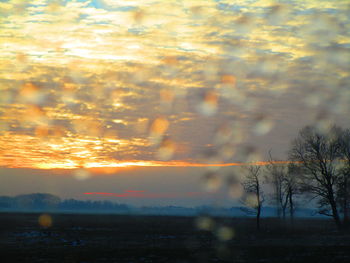 Scenic view of trees against sky during sunset