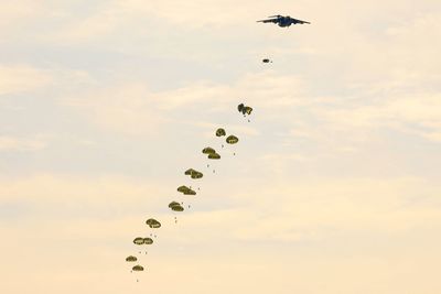 Low angle view of birds flying in sky