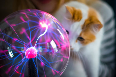 Close-up of cat seen through glass