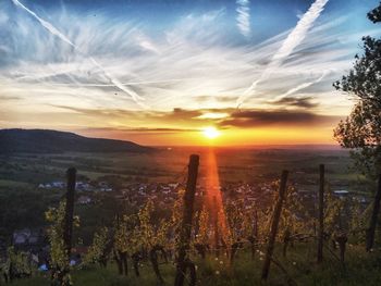 Scenic view of sunset