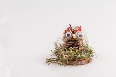 Close-up of christmas decoration against white background