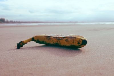 Surface level of beach