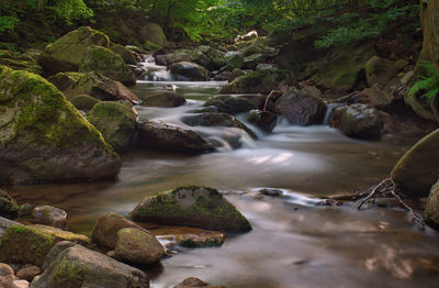 Stream flowing through rocks in forest