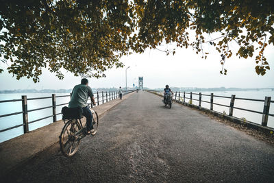 Rear view of man riding bicycle on road