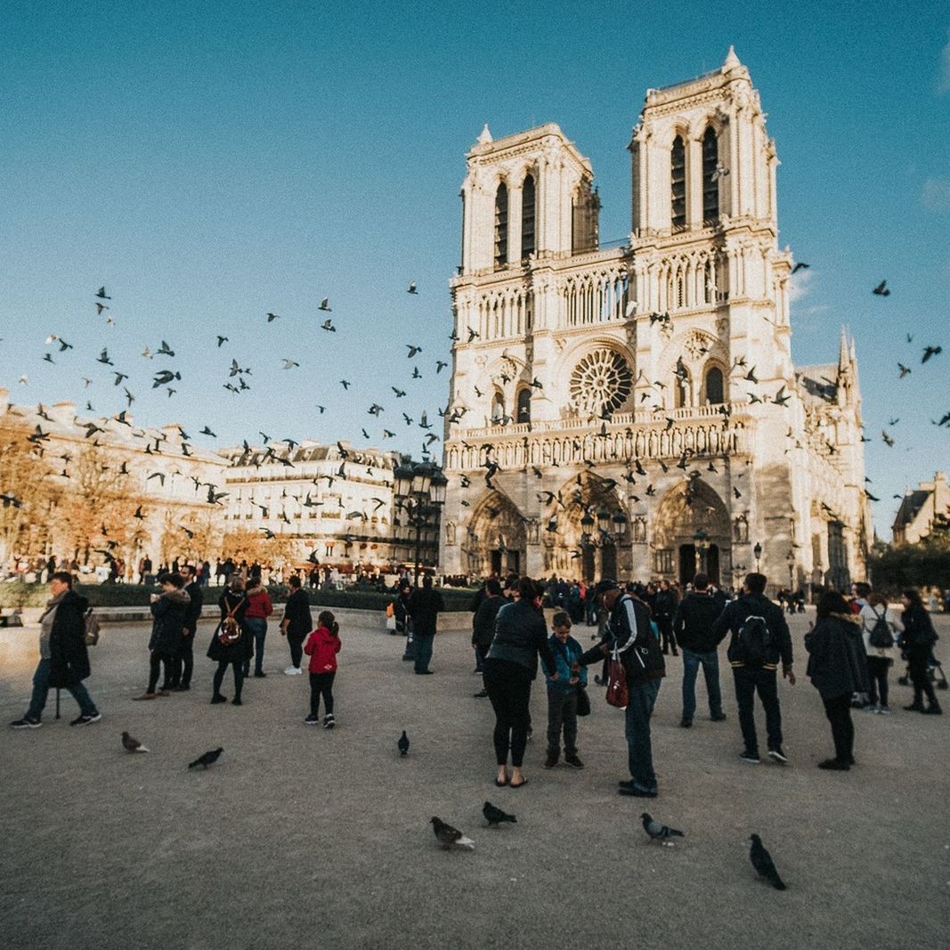 large group of people, religion, architecture, spirituality, built structure, place of worship, building exterior, clear sky, sky, real people, day, outdoors, travel destinations, vacations, large group of animals, men, bird, people