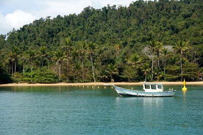 Boat moored on sea against trees